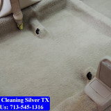 Carpet-cleaning-Silver-045