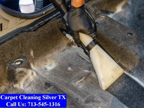 Carpet-cleaning-Silver-049.jpg