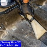 Carpet-cleaning-Silver-049