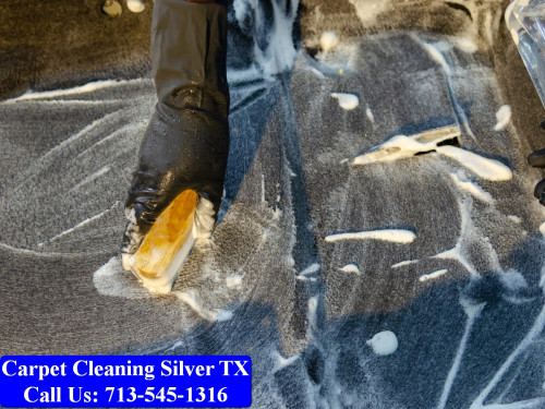 Carpet-cleaning-Silver-050.jpg