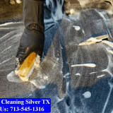 Carpet-cleaning-Silver-050