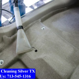 Carpet-cleaning-Silver-052