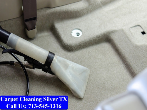 Carpet-cleaning-Silver-055.jpg