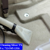 Carpet-cleaning-Silver-055