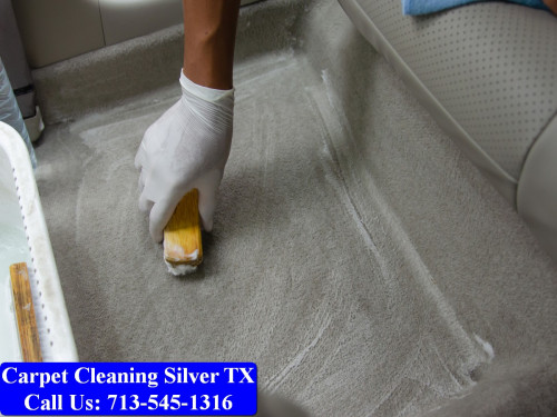 Carpet-cleaning-Silver-056.jpg