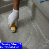 Carpet-cleaning-Silver-056