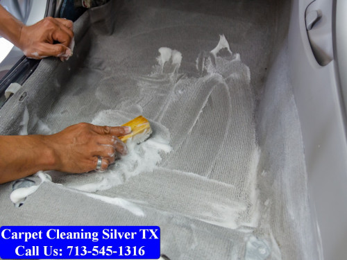 Carpet-cleaning-Silver-057.jpg