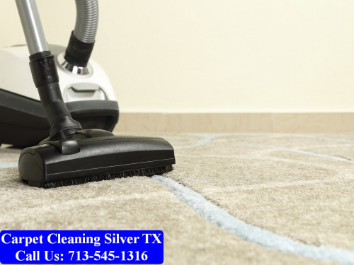 Carpet-cleaning-Silver-061.jpg