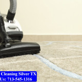 Carpet-cleaning-Silver-061