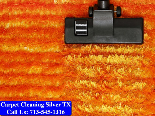 Carpet-cleaning-Silver-062.jpg