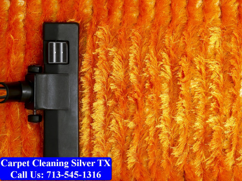 Carpet-cleaning-Silver-063.jpg