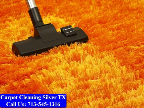 Carpet-cleaning-Silver-064.jpg
