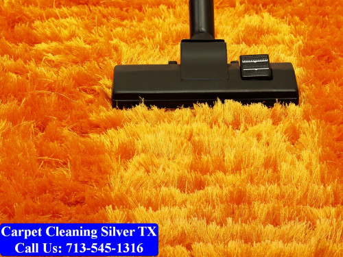 Carpet-cleaning-Silver-065.jpg