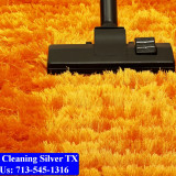 Carpet-cleaning-Silver-065
