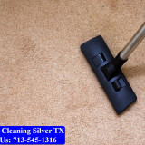 Carpet-cleaning-Silver-071