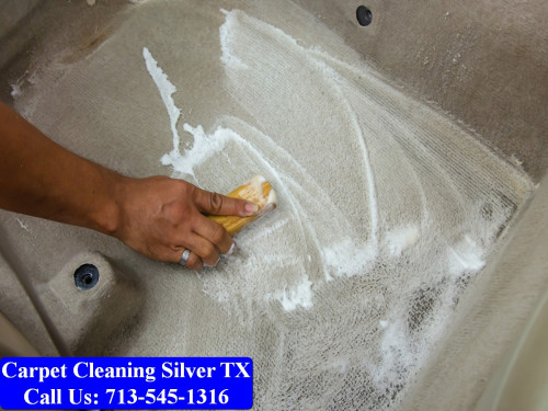 Carpet-cleaning-Silver-074.jpg