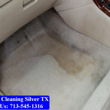 Carpet-cleaning-Silver-078