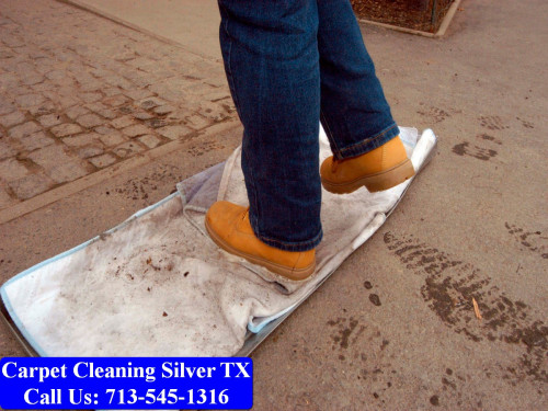 Carpet-cleaning-Silver-079.jpg