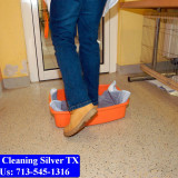 Carpet-cleaning-Silver-080