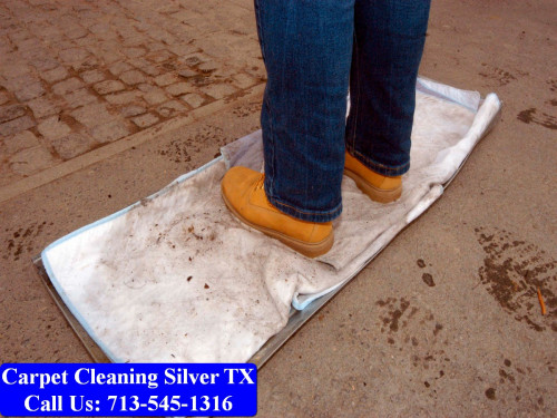 Carpet-cleaning-Silver-081.jpg