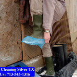 Carpet-cleaning-Silver-082