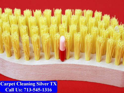 Carpet-cleaning-Silver-087.jpg