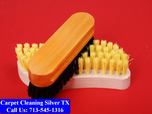Carpet-cleaning-Silver-088.jpg