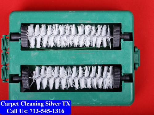 Carpet-cleaning-Silver-089.jpg