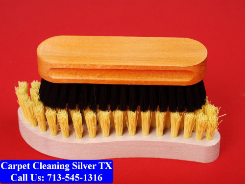 Carpet-cleaning-Silver-090.jpg