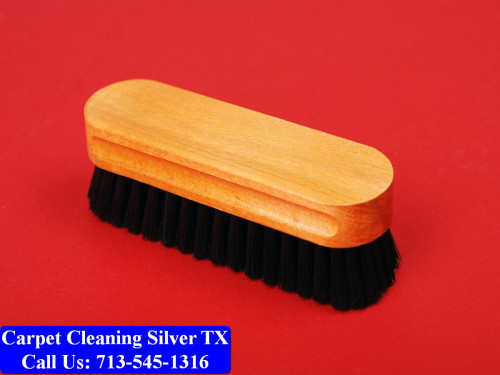 Carpet-cleaning-Silver-091.jpg