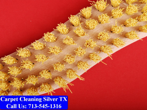 Carpet-cleaning-Silver-094.jpg