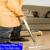 Carpet-cleaning-Silver-097