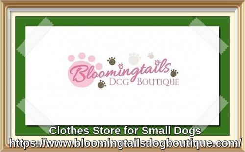 Choose from large collections of small dog clothes like shirts, hoodie, hat, dog diaper and coats at best prices at Bloomingtails Dog Boutique.  https://bit.ly/40Jr9Lf