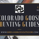 Colorado-Goose-Hunting-Guides