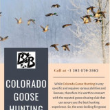 Colorado-Goose-Hunting