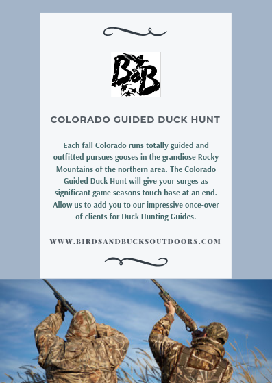 Colorado-Guided-Duck-Huntdde547341ed530ce.png