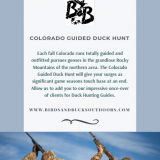 Colorado-Guided-Duck-Huntdde547341ed530ce