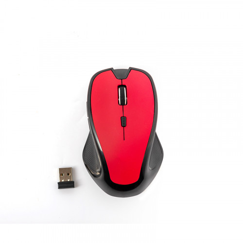 Computer-Mouse.jpg