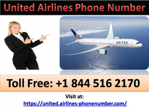 Contact-United-Airlines-Phone-Number-Toll-Free.jpg