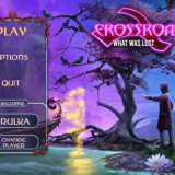 Crossroads3