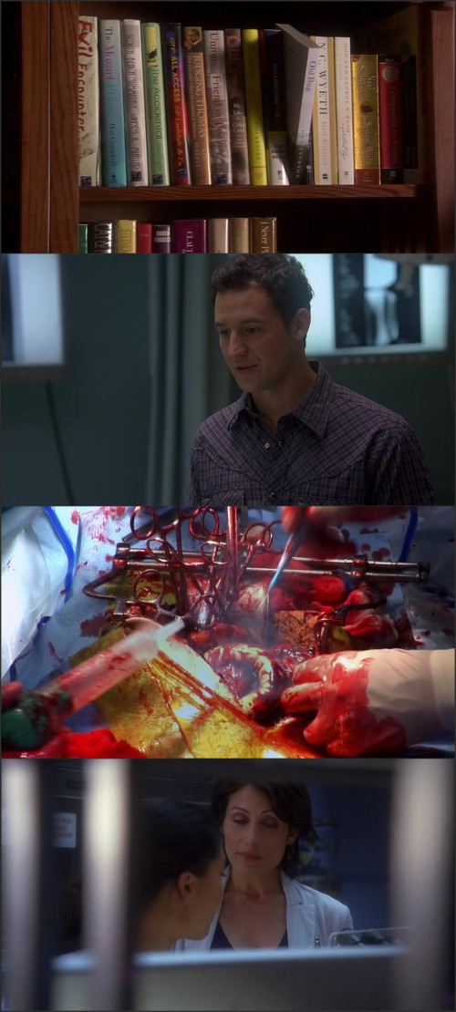 DR.HOUSE.SEZON.04E01.PL.480P.WEB.DL.XVID.AC3.ELITE.avi.jpg