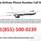 Delta-Airlines-Call-Now-Phone-Number