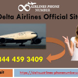 Delta-Airlines-Official-Site