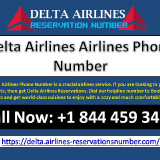 Delta-Airlines-Reservations-Phone-Number