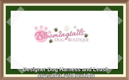 Designer-Dog-Harness-and-Leash-bloomingtailsdogboutique.com.jpg