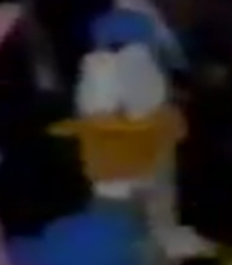 Donald-Duck.jpg