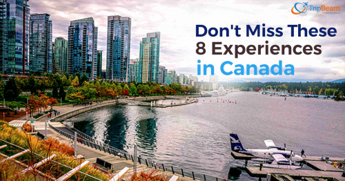 To experience these once-in-a-lifetime adventures in Canada, book through Tripbeam.ca for exciting deals like cheapest airline tickets from Canada, and others.