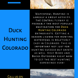 Duck-Hunting-Colorado