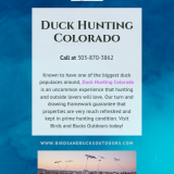 Duck-Hunting-Colorado1a5a88c62299bdc8