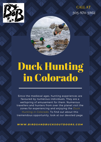 Duck-Hunting-in-Colorado8e58f339f78bd634.png